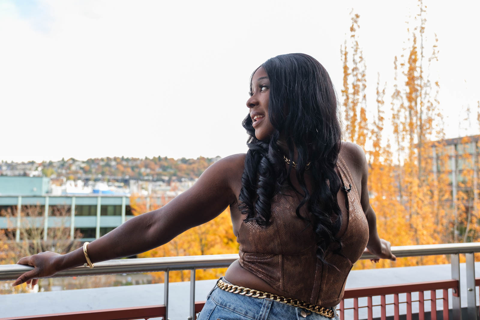 Besa overlooking Seattle in autumn